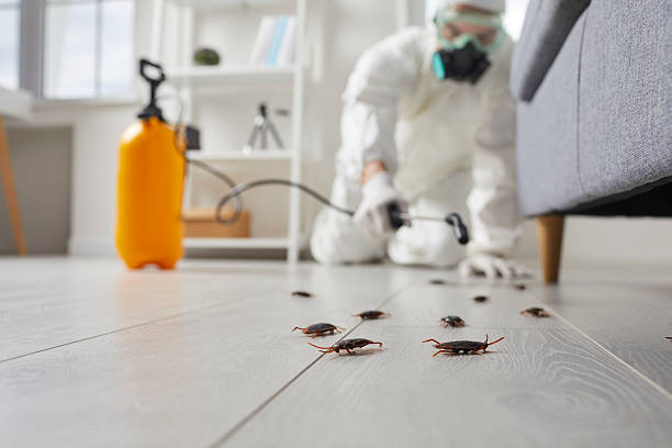 Commercial Kitchen Cockroach Control in Forest Heights
